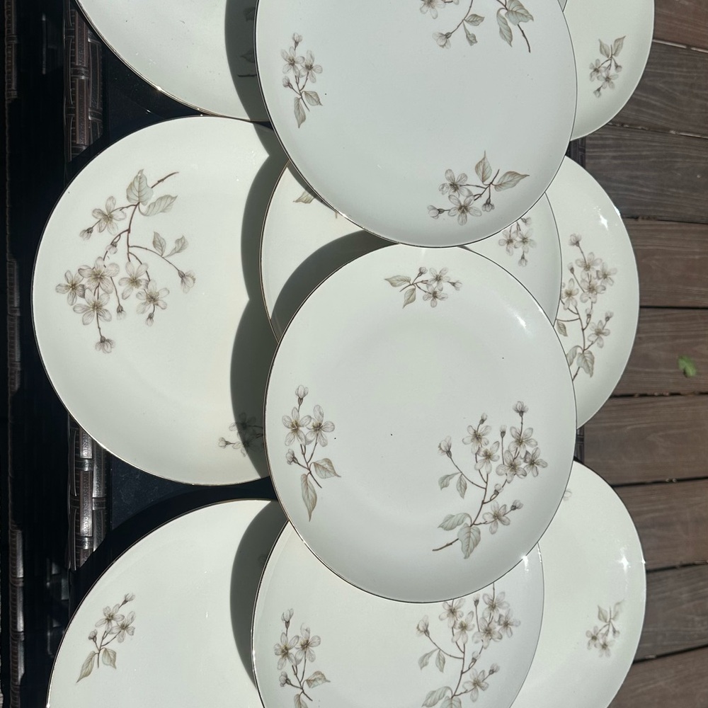 Elegant Floral Dinner Plate Set, Bavaria China Set, Dogwood
